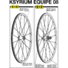 Mavic Ksyrium Equipe Speiche Hinterrad Rechts 298,5 Mm Silber Flach Modell 2008 Ohne Nippel RESTBESTAND
