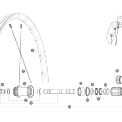 Mavic Allroad SL UST Disc Centerlock | Ersatzspeiche Vorder- Oder Hinterrad 298 Mm Incl Nippel -SCHALTWERKE 56349 2