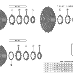 Shimano CS-HG500 Kassetten Ersatzteil | Ritzel 12 Zaehne Fuer Abstufung 11-25 / 12-28 Zaehne 5 Shimano CS-HG500 Kassetten Ersatzteil | Ritzel 12 Zaehne Fuer Abstufung 11-25 / 12-28 Zaehne -SCHALTWERKE 56860 1
